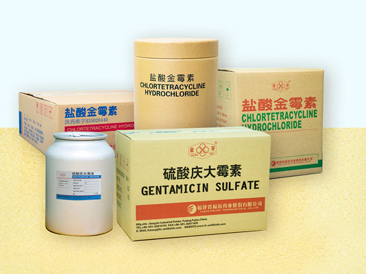 EBET�ײ�(�й���)�ٷ���վ