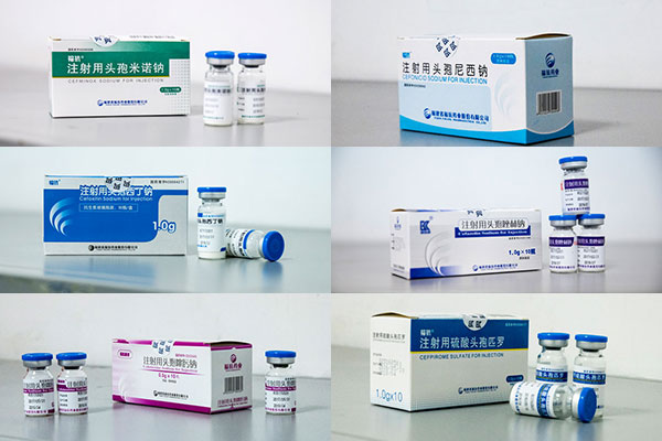 EBET�ײ�(�й���)�ٷ���վ